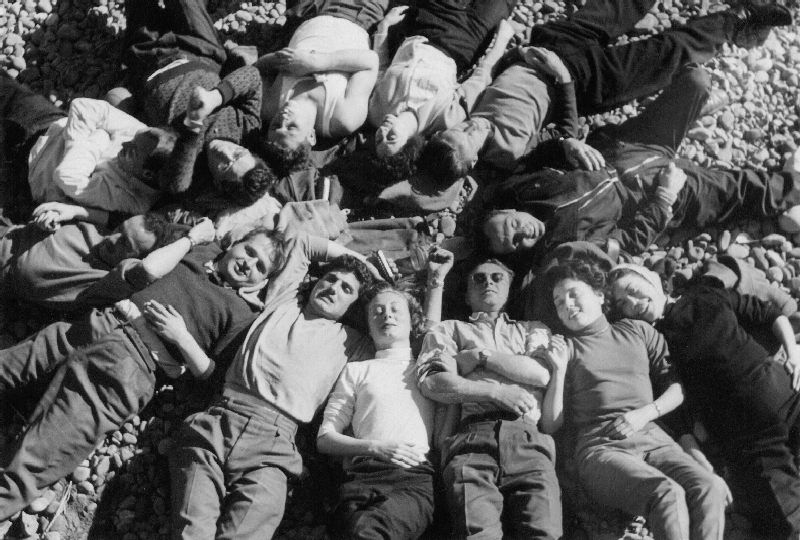 Images/SIESTE VESPISTE.jpg